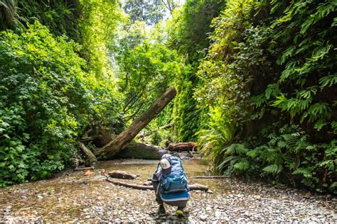 Redwood National Park - Humboldt County · Hike Then Wine