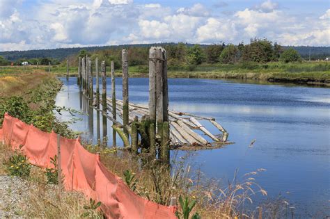 Smith Island habitat restoration cost to rise $1.2 million | HeraldNet.com