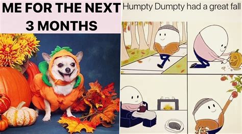 Viral News | Fall 2020 Funny Memes: Express Your Excitement For Halloween and Holidays With ...