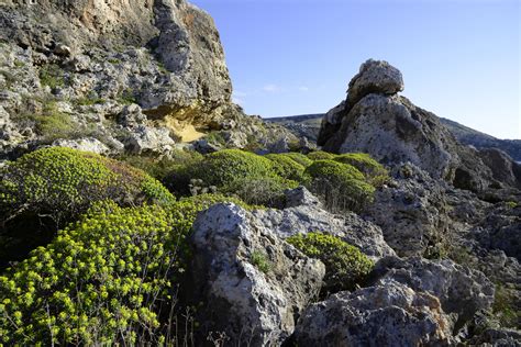 Ġnejna Bay (4) | Beaches & Comino | Pictures | Malta in Global-Geography