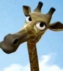 Melman Voices (Madagascar) - Behind The Voice Actors