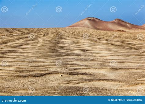 Paracas National Reserve stock photo. Image of cliff - 125057496