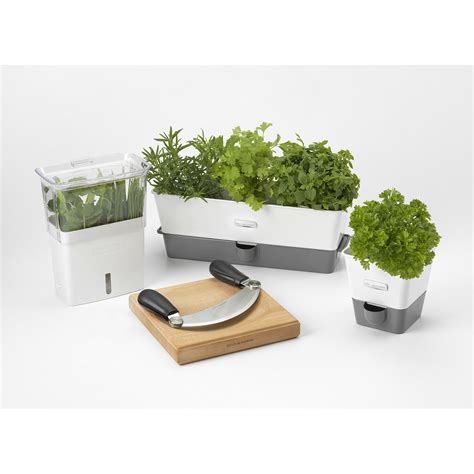 Cole & Mason Self-Watering Indoor Herb Garden Planter & Reviews | Wayfair.ca