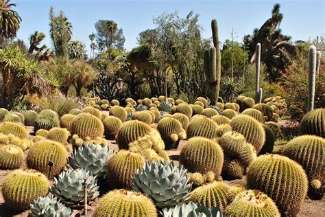 Desert Botanical Garden - Scottsdale Vacation Rentals