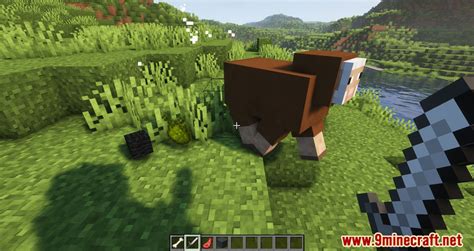 Configurable Extra Mob Drops Mod - 1Minecraft