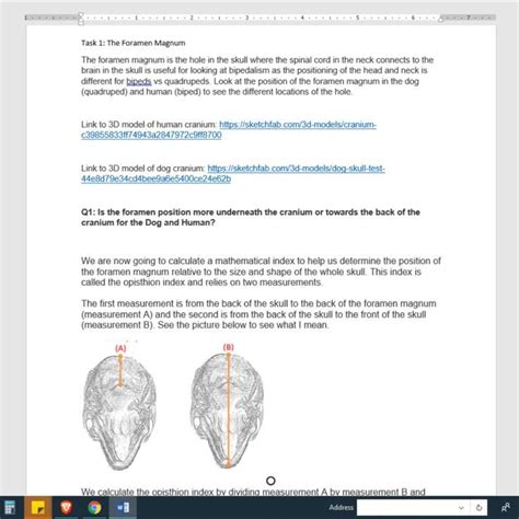 BRAINWAVE: electroshock therapy (madness) | Brain waves, Spinal cord, Head and neck