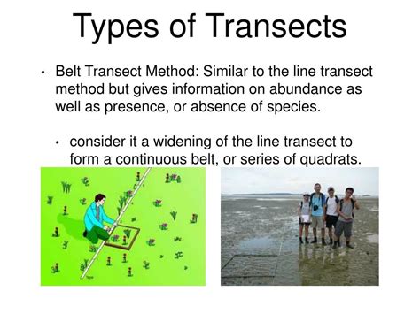 PPT - ECOLOGICAL SAMPLING METHODS PowerPoint Presentation, free ...