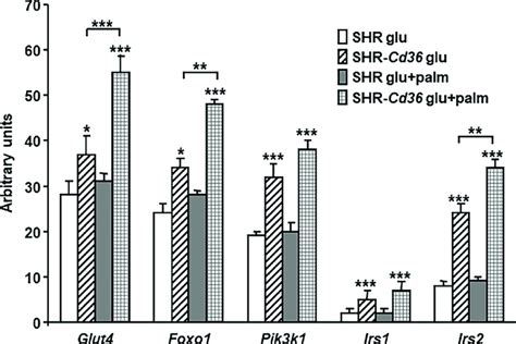 Effect of Cd36 on expression of genes involved in insulin signalling... | Download Scientific ...