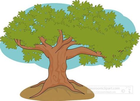 Trees Clipart-large oak tree clipart