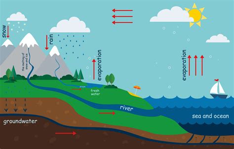 El Ciclo Del Agua Animado Youtube El Ciclo Del Agua Animado Youtube Apexwallpapers Com ...