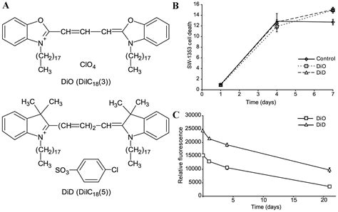 Quantification of the asymmetric migration of the lipophilic dyes, DiO and DiD, in homotypic co ...