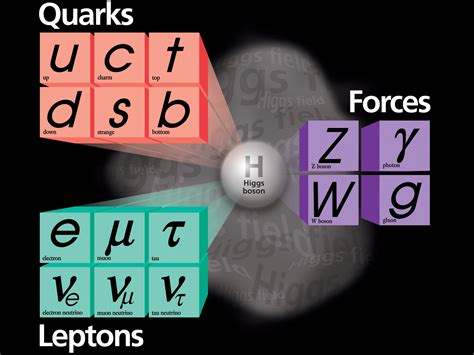 What Particle X would mean for physics - Business Insider