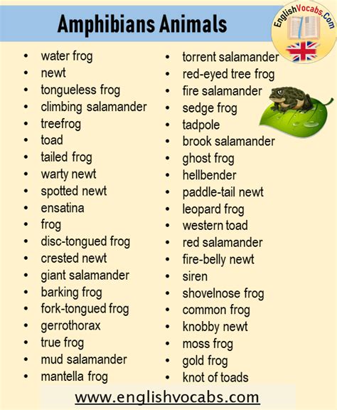 amphibians images with names Teach kids about amphibians