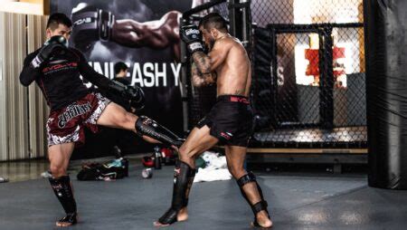 The Beginner's Guide To Leg Kicks In MMA - Evolve Daily