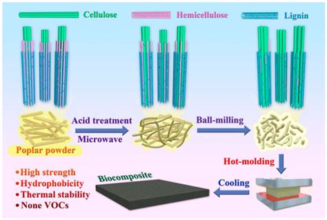 Polymers | Special Issue : Sustainable Polymer Composites: Properties ...