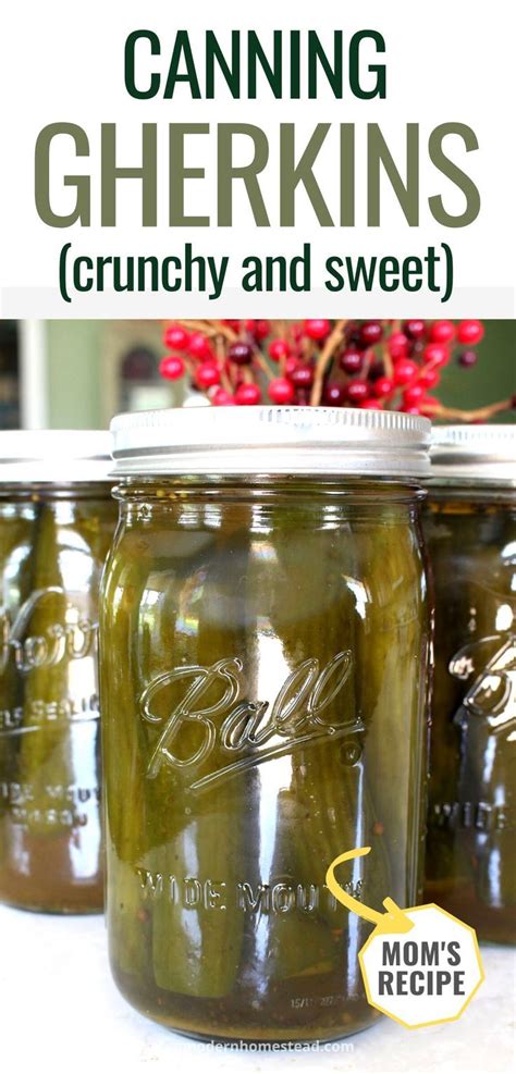 sweet gherkin cucumber pickles in a mason jar after canning Sweet ...