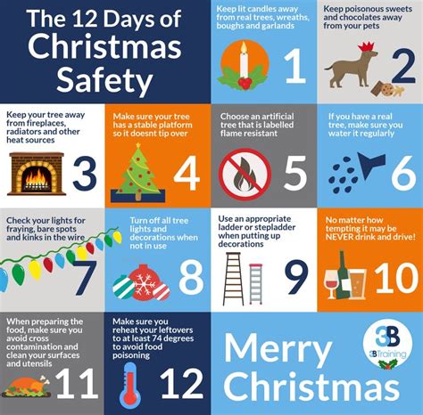 The 12 Days of Christmas Safety | 12 days of christmas, Thing 1 thing 2 ...