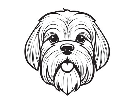 Beautiful Shih Tzu Drawing - Coloring Page