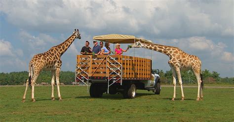 Go Wild at African Lion Safari Wildlife Park! | Family Fun Toronto