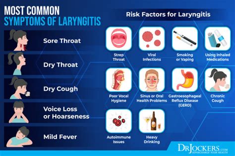 Laryngitis: Symptoms and Natural Support Strategies