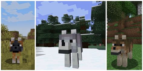 Minecraft: Best New Wolf Skins