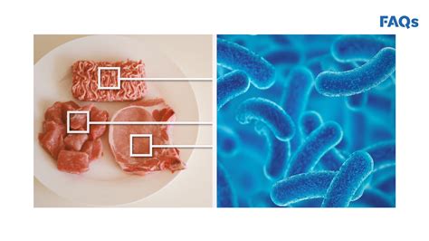 Why food recalls are increasing