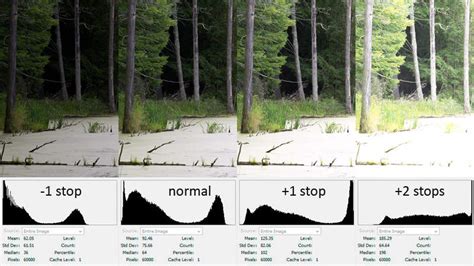 Understanding histograms photography - Risphotograph