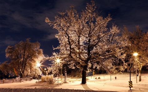 Winter Night Wallpapers - Wallpaper Cave