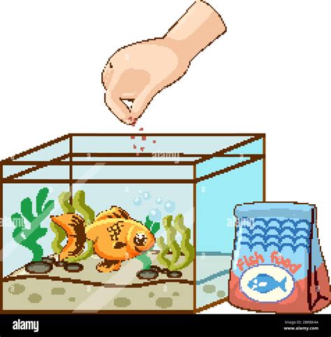 Feeding Fish Clipart