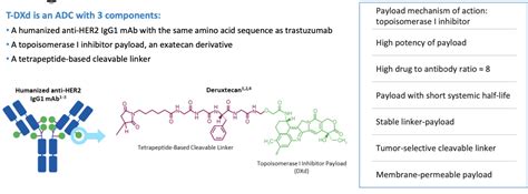 Kadcyla Mechanism Of Action