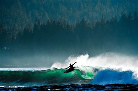 Tofino, British Columbia in 2020 | Tofino, Surfing, Water surfing