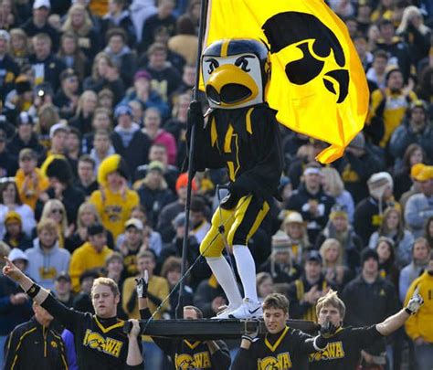 Crazy College Mascots | Iowa hawkeye, Mascot, Iowa