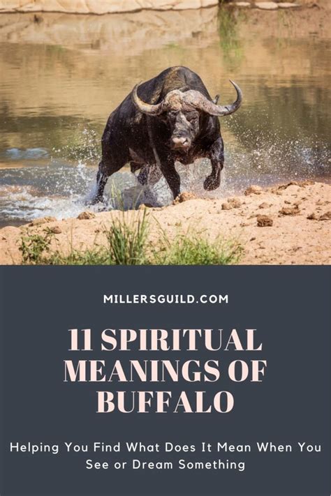 11 Spiritual Meanings of Buffalo