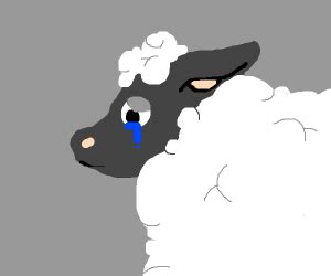 Sheep Crying - Drawception