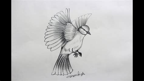 Pencil drawing pictures of birds information | DRAWING 99