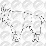 Mountain Goat Outline sketch template