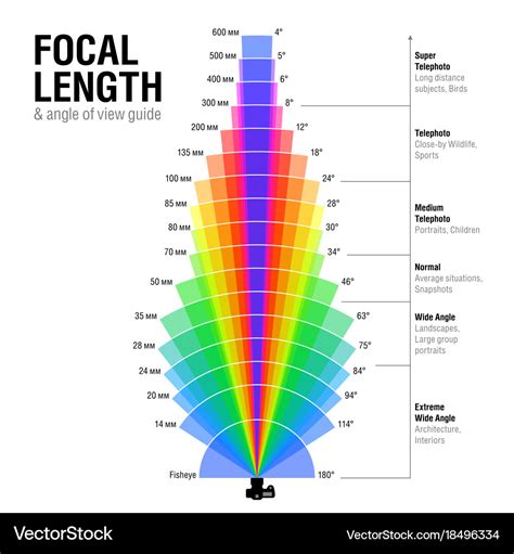 Focal length and angle view guide Royalty Free Vector Image