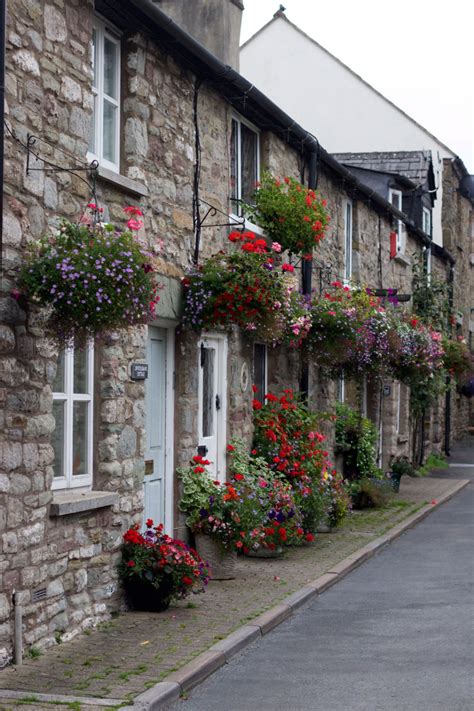 FLEETING VISITS - HAY ON WYE IN WALES - Lobster and Swan