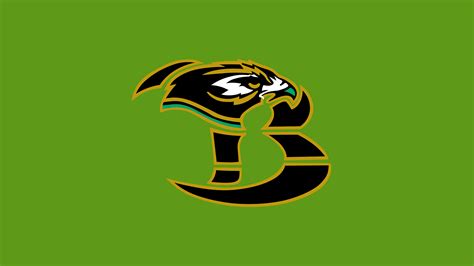 Birdville shrugs off first set to capture bi-district title over Joshua ...