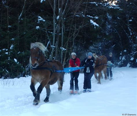 Luxury Ski Chalets in Chamonix with Ultimate Luxury Chalets