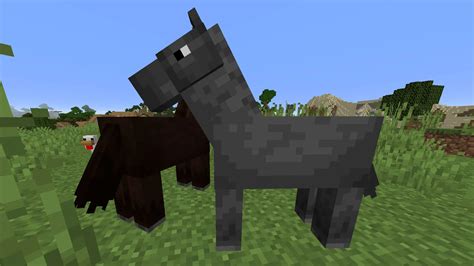 How to tame a horse in minecraft 1.8.8 - cepna