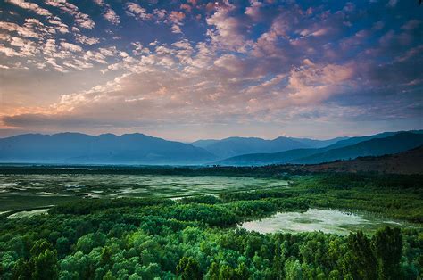 Kashmirs Gorgeous Wular Lake is Slowly Turning Into A Swamp - Know Why