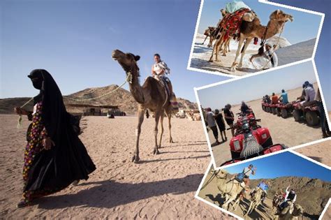 Plan a vacation for #EgyptDesertSafariTours greet you a wonderful sight to explore. Rich Country ...