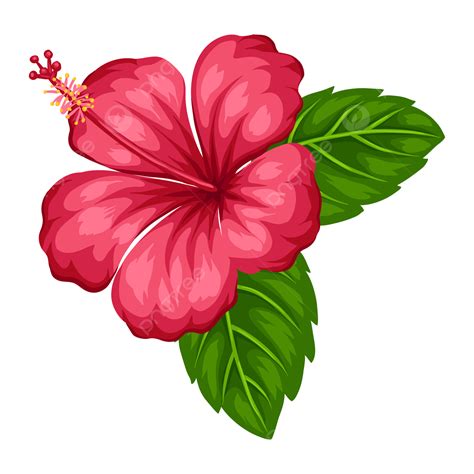 Hibiscus Tropical Flowers Vector Art PNG, Illustration Of Tropical Hibiscus Flower, Pink, Aloha ...