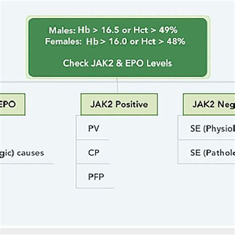 Clinical approach for the diagnosis of erythrocytosis SE: secondary... | Download Scientific Diagram