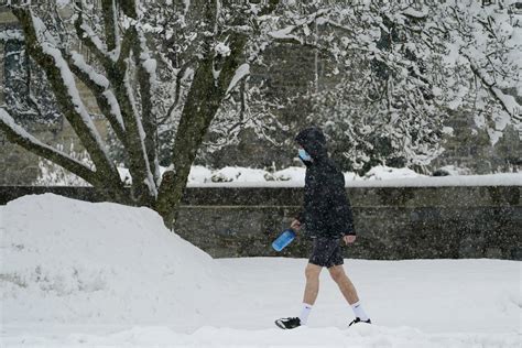 2nd major snowstorm in a week blankets Northeast - WTOP News