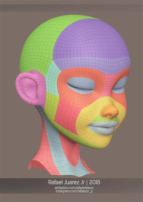 Face Anatomy, Anatomy Study, Anatomy Reference, Pose Reference, 3d Max Tutorial, Zbrush Tutorial ...