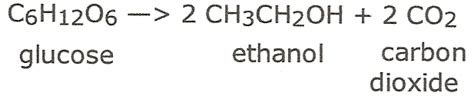 Chemical Makeup Of Ethanol - Mugeek Vidalondon