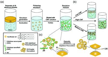 Pickering emulsions by combining cellulose nanofibrils and nanocrystals: phase behavior and ...