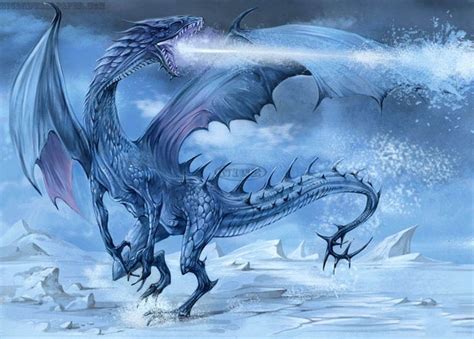 Ice Dragon | Ice dragon, Fantasy dragon, Cool dragon pictures